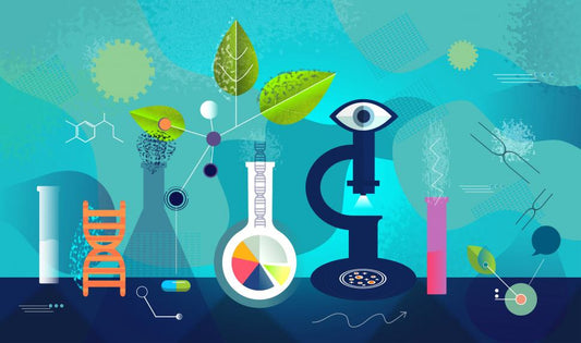 What are Antioxidants and How are They Linked to the Immune System?