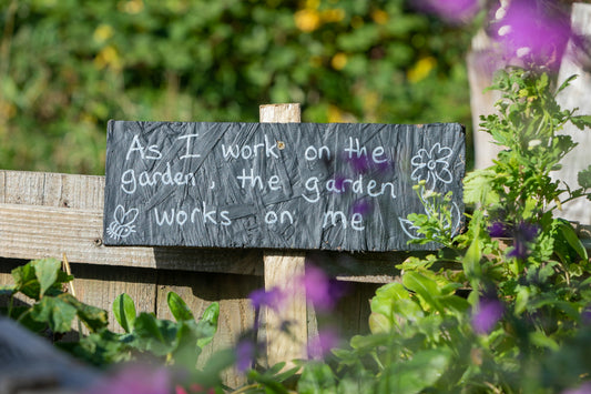The Power of Planting: Gardening Tips for Stress Relief and Health Benefits