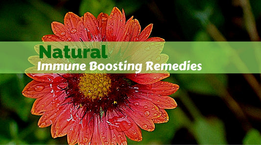 natural immune boosting remedies