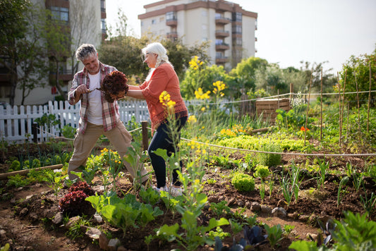 5 Summer Veggies to Enjoy This Summer