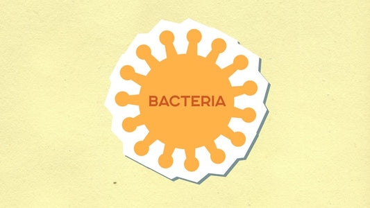 The Role Of Bacteriophages In Maintaining Health