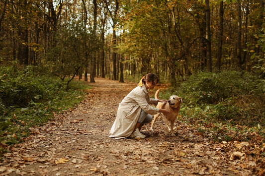 Changes In The Immune System In Autumn Season