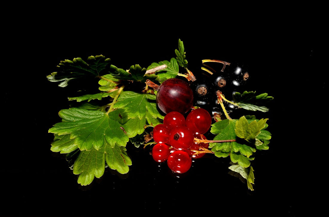 alternative health sites