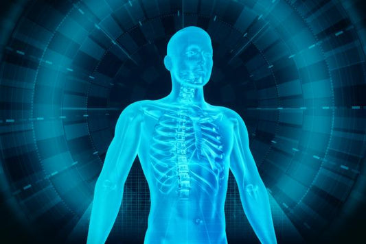 How Iron Improves Immunity and Protects You Against Infections