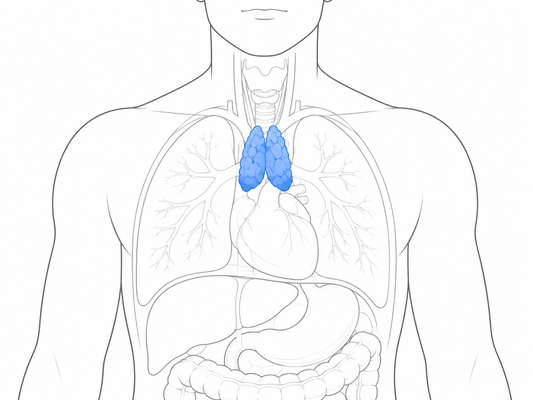 Evidence of What We've Known for 25 Years About Your Thymus Gland