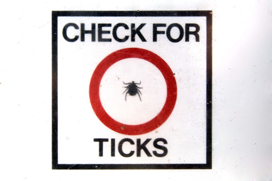 treatment of Lyme Disease